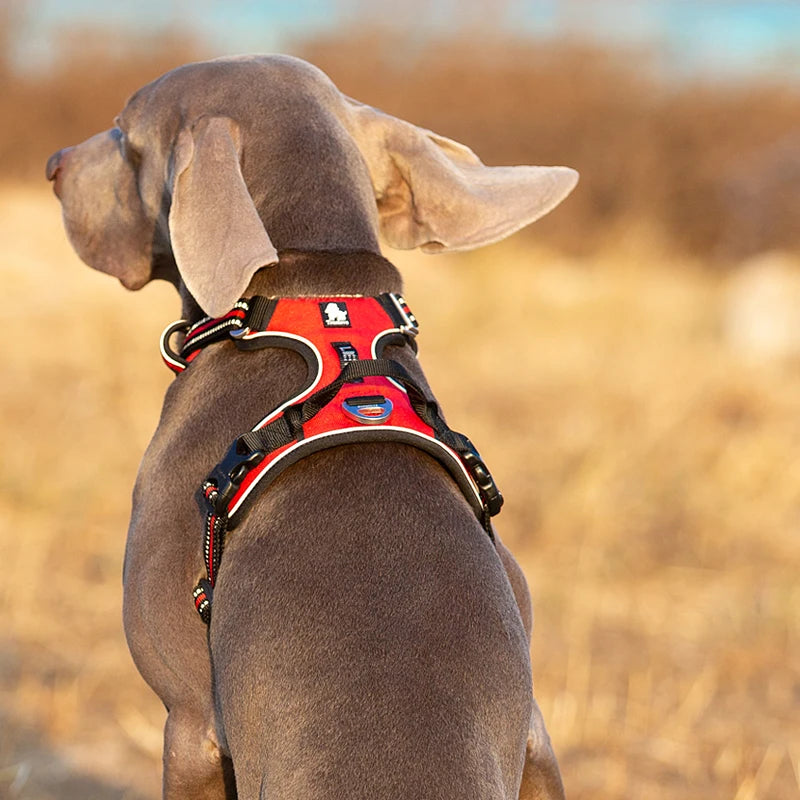 TrueLove Reflective Dog Harness No Pull Adjustable