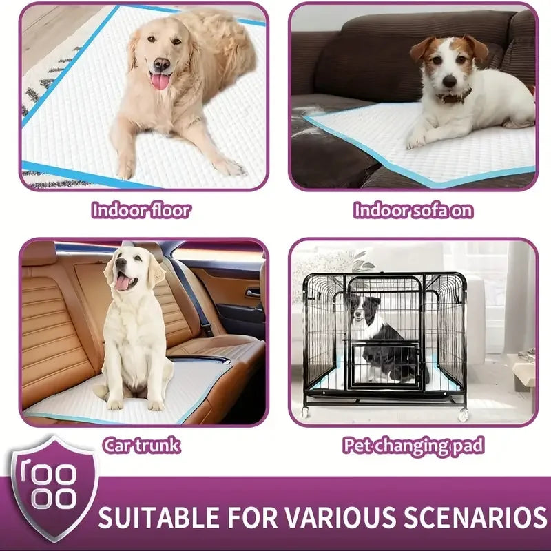 Premium Disposable Dog Training Pads With Superior Absorbency And Leak-Proof