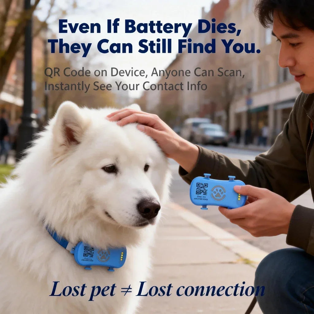 GPS Pet Tracker For Dogs And Cats With IoT SIM