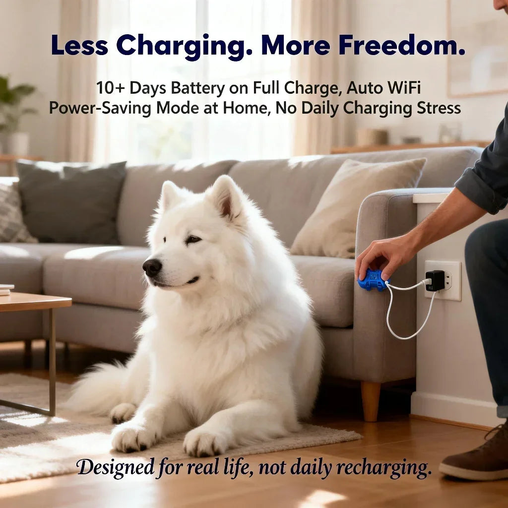 GPS Pet Tracker With IoT SIM And WiFi Connectivity