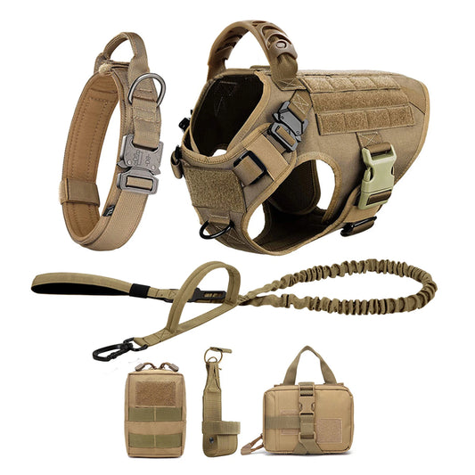 PETRAVEL Dog Harness And Leash Set For Training Walking